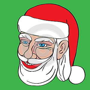 Foxy Santa Claus portrait