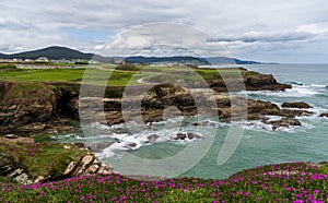 Idyllic rocky cove with blossoming flowers on the coast of Galicia with homes on the seashore photo