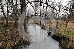 Fozen river in forest