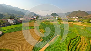 FPV Flight Over Fields In Picturesque Village In North Vietnam