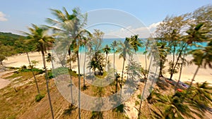FPV flight over tropical palms coastline and white sandy beach.