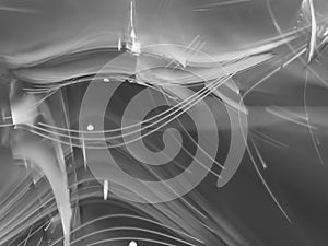 fractal abstract, digital background, creative design, chaos black and white