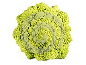 Fractal Texture of Romanescu