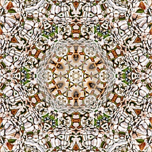 fractals kaleidoscope background texture for presentations photo