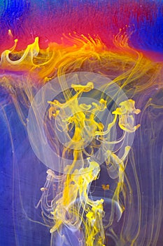 Fragile Clouds of Paint photo