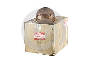 Fragile shipping box concept isolated on white