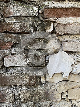 The Fragmen of a stone wall