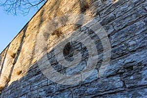 Fragment of the 16th century fortress wall. Tallinn, Estonia