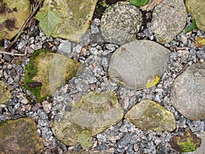 Fragment. abstract background, texture - an old road paved with natural wild glacial stone, overgrown with grass and moss.