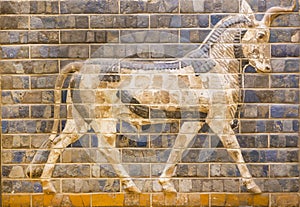 Fragment of ancient frescoes