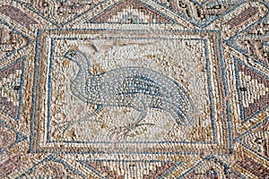Fragment of ancient religious mosaic in Kourion, Cyprus