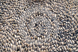 Fragment of ancient road