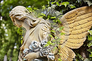 A fragment of ancient sculpture angel in a golden glow in the old cemetery.