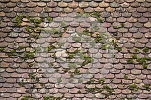 Fragment of ancient tiled roof of an old building. Tiles overgrown with moss. Natural background. Copy space