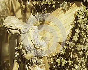 Fragment of antique statue - angel in sunlight. Sepia effect