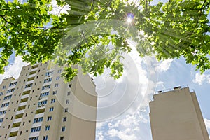 Fragment of apartment buildings against of tree branches and sun