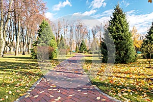 Fragment of an autumn park in Mezhyhirya near Kiev, Ukraine.