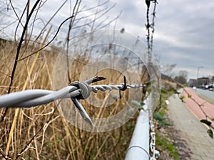 Fragment of barbed wire on the fence