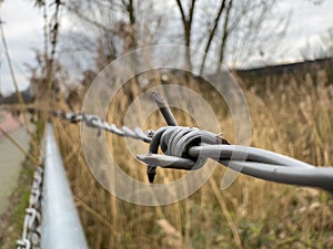 Fragment of barbed wire on the fence