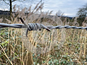 Fragment of barbed wire on the fence