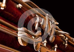 Fragment of the bassoon photo