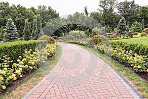 Fragment of a beautiful alley in the Mezhyhirya park near Kiev, Ukraine.