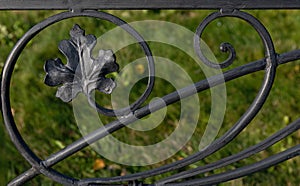 A fragment of cast-iron fence with a maple leaf