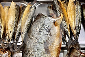 Fragment of cold smoked mackerel and Atlantic salmon on a substrate for sale in the supermarket