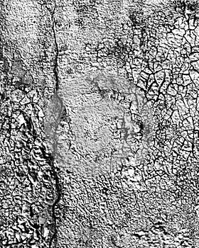 Fragment of colored graffiti painted on a wall