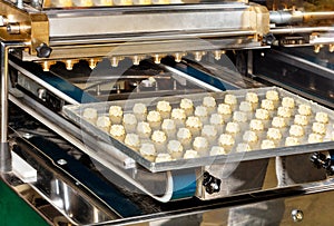Fragment of a conveyor line used in the food industry for the preparation of cream biscuits