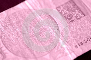 Fragment of a Czech banknote in one hundred crowns closeup. Money background pink color toned