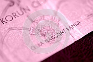 Fragment of a Czech banknote in one hundred crowns closeup. Money background pink color toned