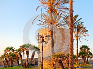 Fragment of defensive walls and palm trees in Alghero. Sardinia, Italy