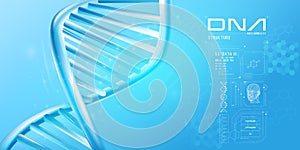 Fragment of double helix DNA with infographic elements.