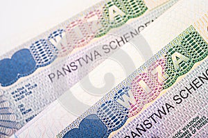 Fragment of European Multi Schengen visa