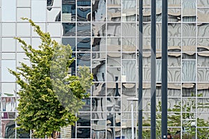 Fragment of the facade of a modern office building