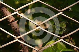 A fragment of a fence made of mesh netting.