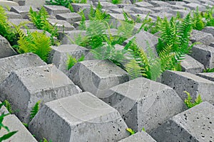 Fragment of flexible concrete mat to prevent erosion, laid on the ground, with plants growing through it