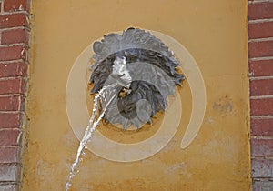 A fragment of a fountain with a mascaron lion 1912. Sovetsk, Kaliningrad region