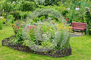 A fragment of a garden plot with a variety of plants and flowers.