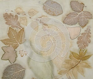 Fragment of hand-dyed fabric using eco-print technique