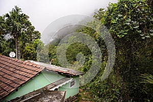 Fragment of a house in the jungle in the morning fog on the island of Sri Lanka