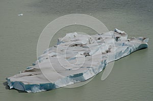 Fragment of ice floating in Grey lake.