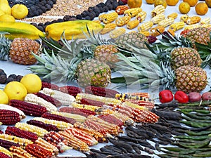 Fragment of Indigenous ritual Chacana, Ecuador