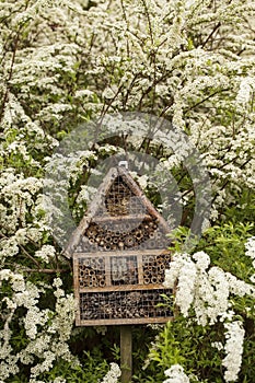 Image of Insect house - hotel in a garden