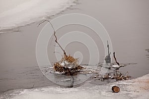 Fragment of Irpen river