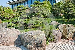 Fragment of Japanese Zen Garden with giant volcanic stones,ornamental trees and slanted mini pine