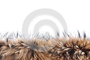 Fragment of luxury animal fur on white background
