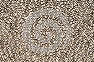 Fragment of a medieval road