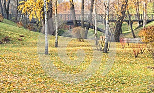 Fragment of the Mezhyhirya landscape park near Kiev, Ukraine.